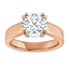 Beatrice Double Claw Prong Cathedral Solitaire Setting