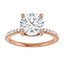 Lorelei Hidden Halo Pavé Setting