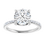 Lorelei Hidden Halo Pavé Setting