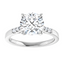 Clara Cathedral Pavé Setting