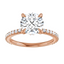 Scarlett Hidden Halo Pavé Setting
