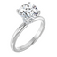 Celine Hidden Halo Solitaire Setting