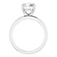 Lucy Hidden Halo Solitaire Setting