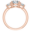 Phoebe Trapezoid Three Stone Setting