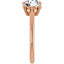 Colette Solitaire Setting
