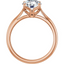 Billie Tulip Cathedral Solitaire Setting