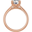 Molly Double Claw Prong Solitaire Setting