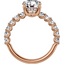 Serena Hidden Halo Pavé Setting