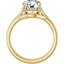 Isla Hidden Halo Cathedral Solitaire Setting & Matching Wedding Ring