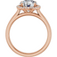 Audrey Halo Setting