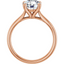 Ryan Cathedral Solitaire Setting