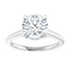 Kennedy Hidden Halo Cathedral Solitaire Setting