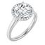 Audrey Halo Setting