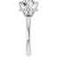 Adeline Hidden Halo Solitaire Setting
