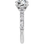 Serena Hidden Halo Pavé Setting