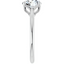 Billie Tulip Cathedral Solitaire Setting