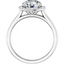 Audrey Halo Setting
