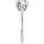 Colette Solitaire Setting