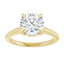 Kennedy Hidden Halo Cathedral Solitaire Setting