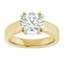 Beatrice Double Claw Prong Cathedral Solitaire Setting