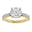 Serena Hidden Halo Pavé Setting