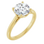 Billie Tulip Cathedral Solitaire Setting