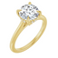 Kennedy Hidden Halo Cathedral Solitaire Setting