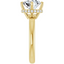 Adeline Hidden Halo Solitaire Setting