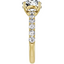 Serena Hidden Halo Pavé Setting