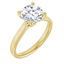 Ryan Cathedral Solitaire Setting