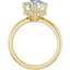 Adeline Hidden Halo Solitaire Setting