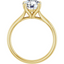 Ryan Cathedral Solitaire Setting