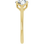Billie Tulip Cathedral Solitaire Setting