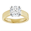 Beatrice Double Claw Prong Cathedral Solitaire Setting
