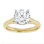 Diana Trellis Cathedral Solitaire Setting