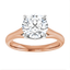 Diana Trellis Cathedral Solitaire Setting
