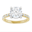 Eloise Hidden Halo French Pavé Setting
