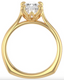 Custom Cathedral Tulip Setting