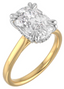 Custom Solitaire Setting with Hidden Halo and Ruby Accent