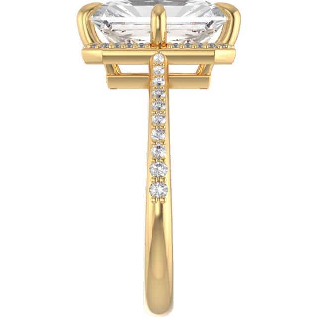 Peek-a-Boo Halo Compass Prong Accented Setting