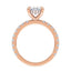 Addison Hidden Halo French Pavé Setting