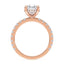 Addison Hidden Halo French Pavé Setting