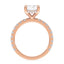 Addison Hidden Halo French Pavé Setting