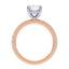Addison Hidden Halo French Pavé Setting