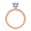 Addison Hidden Halo French Pavé Setting