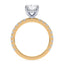 Addison Hidden Halo French Pavé Setting