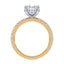 Addison Hidden Halo French Pavé Setting
