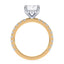 Addison Hidden Halo French Pavé Setting