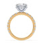 Addison Hidden Halo French Pavé Setting