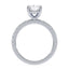 Addison Hidden Halo French Pavé Setting